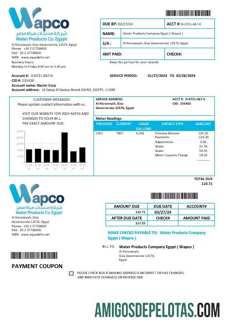 realista Egypt Water Products Company Egito Wapco Modelo de conta de serviços públicos